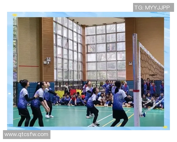 上海排球队节奏解析：如何提升团队协作与比赛表现